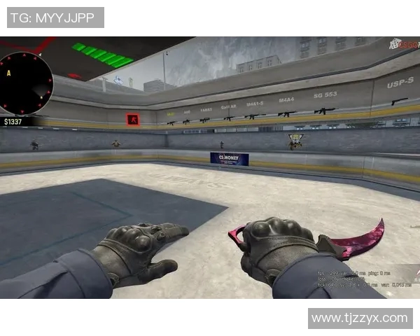 电竞新闻CSGO深度解析V5战队防反战术的核心要素与实战应用